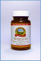 Echinacea / 