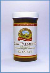 Saw Palmetto /   