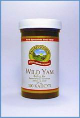 Wild Yam /   ( )